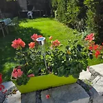 Bellaflora *