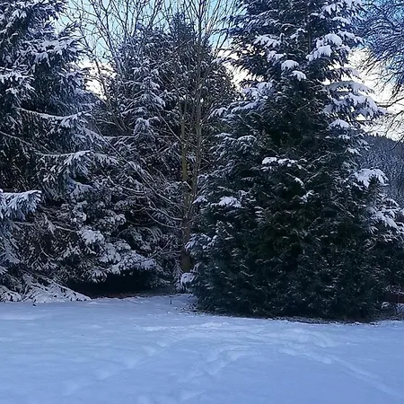 Bellaflora * Haus im Ennstal