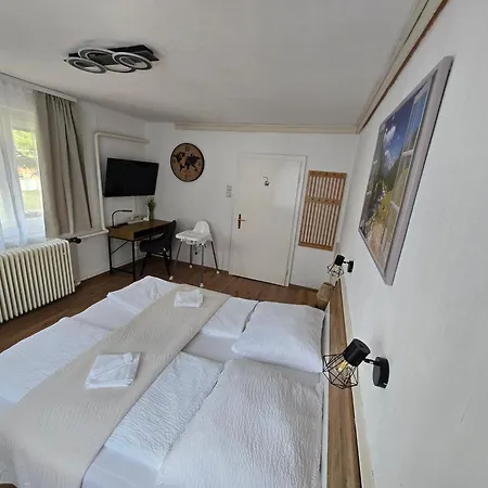 Bellaflora * Haus im Ennstal