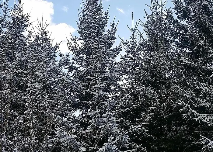 Apartment Bellaflora *