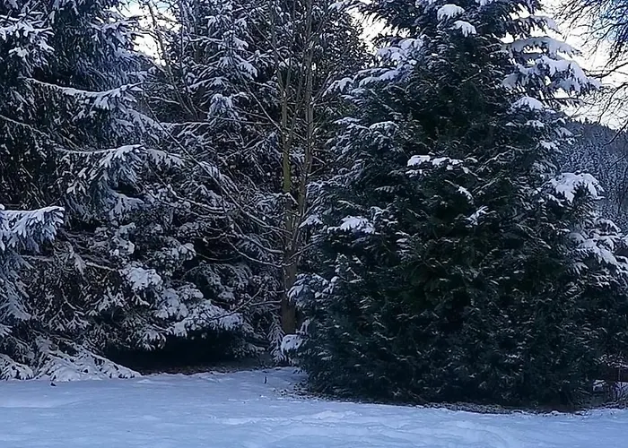 Bellaflora * هاوس إم إنيستال